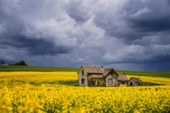 50096813598_4c3f9a16a4_o