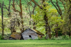 50096814058_5ece8a9fd7_o