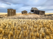 51113667329_a9fd2a00e8_o