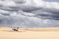 51113911241_8891443ed1_o