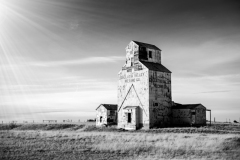 51975922034_a09d896d02_o