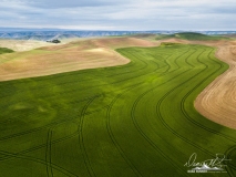 Palouse-DJI_0013-2-Edit-2
