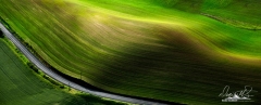 Palouse-_DSF5371-Edit-2
