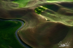 Palouse-_DSF5393-Edit-2
