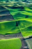 Palouse-_DSF7576-Edit-2