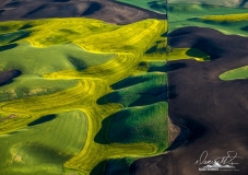 Palouse-_DSF7684-Edit-2