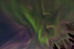 Alaska-NLT-_DSF9454-Edit-Edit-Edit