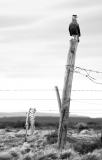A1_1694-Edit A1_1694-Edit