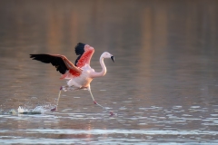 A1_3211-Enhanced-NR-Edit