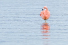 A1_8948-Enhanced-NR-Edit