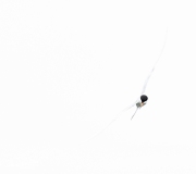 A1_5070-Edit-2