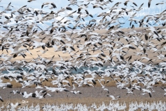 Freezeout-Lake-_A924832-2