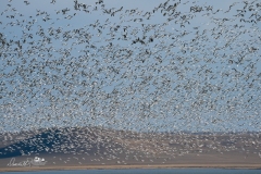 Freezeout-Lake-_A926662-Edit-2