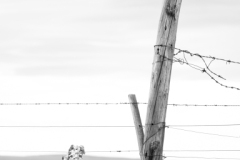A1_1694-Edit A1_1694-Edit