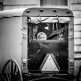 44605425615_d67053386f_o