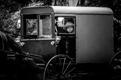 44605426265_c791feec09_o