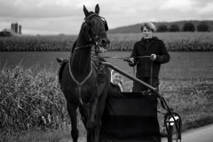 45519473011_c5b9bcb623_o