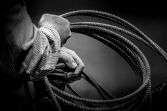 49391242491_efbfd4ba7b_o