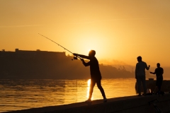 53600760545_382cda8a35_o