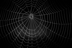 24671964678_38a04de6f0_o