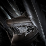 28101887247_df007350a5_o