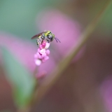 44821449525_fcbe3defdd_o