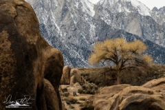Death Valley-_DSF7595-Edit
