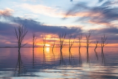 shutterstock_1961963263