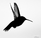 A928094-Edit-2