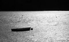 DSF6130-Edit