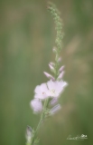 A1_4850-Edit-2