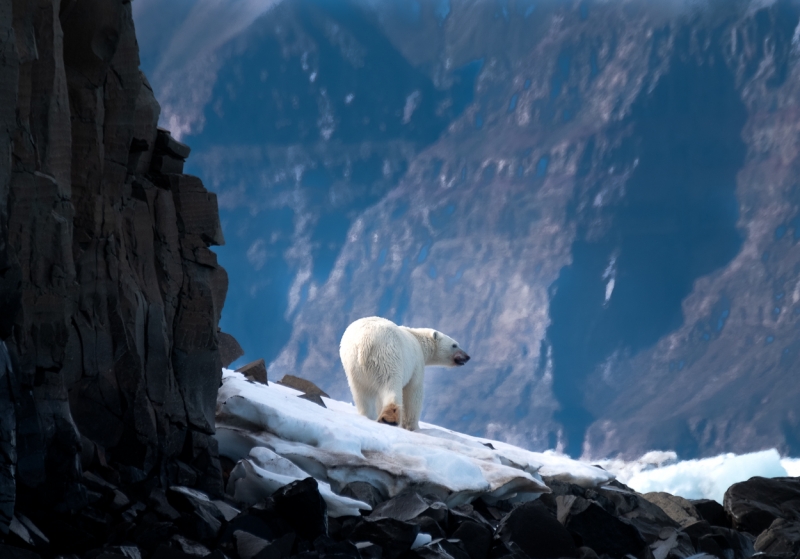 Greenland-_H1R4919-Edit