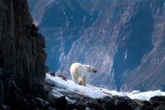 Greenland-_H1R4919-Edit