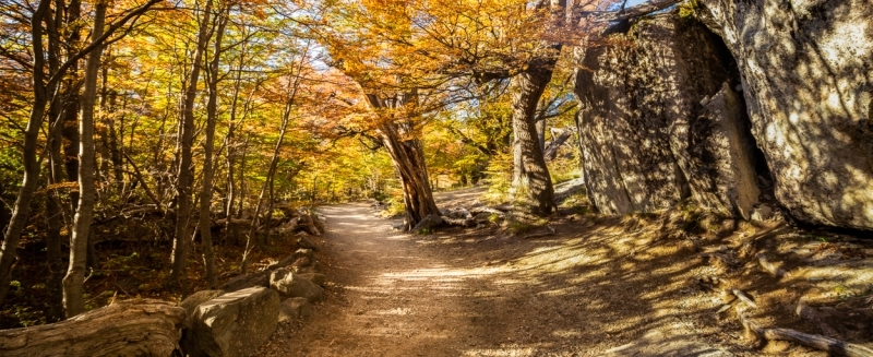 A1_0871-HDR-Pano-Edit-2