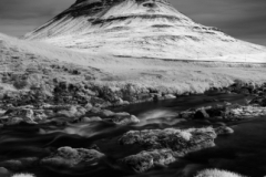 _DSF1221-Edit