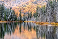 51551942175_86f4a72d72_o