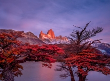 52887116103_7f67e43f61_o