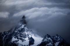 53078181763_4e0c5045ba_o