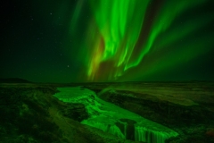 54089787912_5db713a22c_o