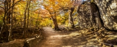 A1_0871-HDR-Pano-Edit-2 A1_0871-HDR-Pano-Edit-2