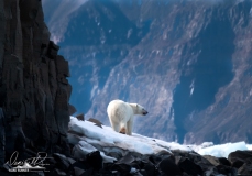 Greenland-_H1R4919-Edit-2
