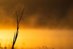 A923386-Edit-Edit