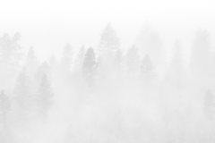 A927469-Edit-Edit
