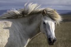 Iceland-_H1R7806-Edit