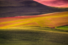 _DSC0699_HDR 2013-06-01