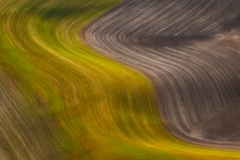 Palouse-_DSF5377-Edit