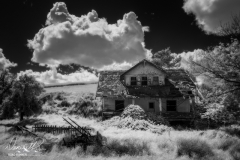 Palouse-_DSF6952-Edit
