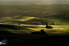 Palouse-_XT25810-Edit