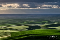 _DSF1585-Edit-2