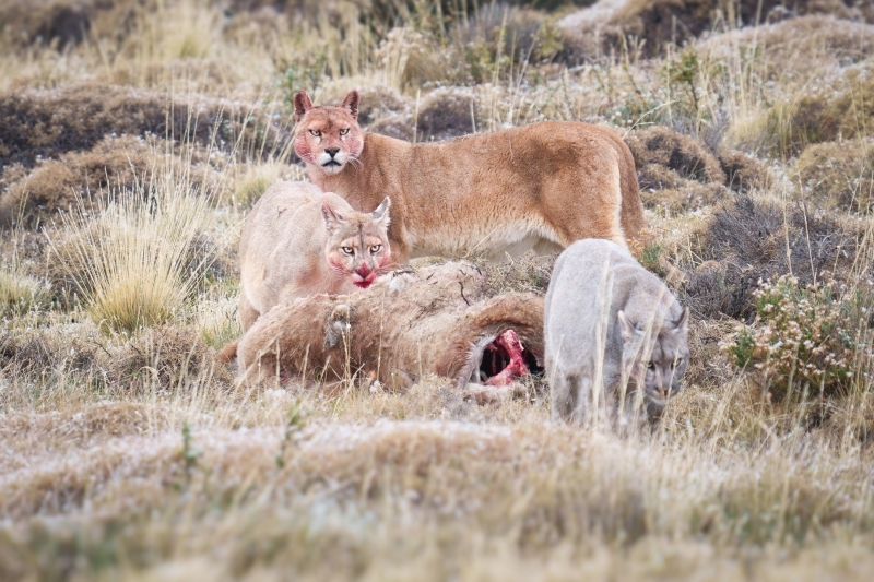 A1_5709-Enhanced-NR-Edit